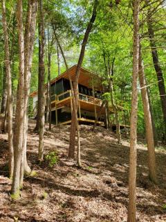 Modern Gem w/Spacious Deck, Swinging bed, Hot Tub - Campton - 7