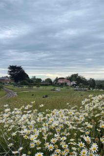 La Florita Chapadmalal - 4