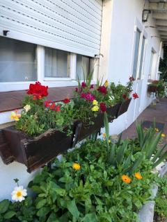 Hostería El Ñire - 3