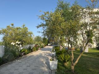 KuneVain Guest House - Lezhë (Alessio) - 3