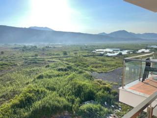 View of flamingos - Shëngjin - 5