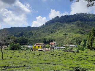 Anna peaceful homestay - Karsiyang - 9
