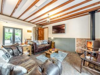 Shire - Uk49791 - Cribyn - 9