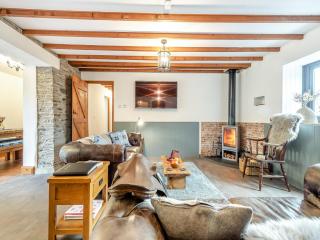 Shire - Uk49791 - Cribyn - 8