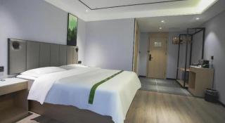 GreenTree Inn LiaoCheng LinQing HaiShan Building Express Hotel - Liaocheng - 2
