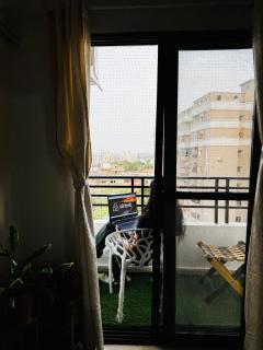 SUKOON 2BHK apartment - Gwalior - 6