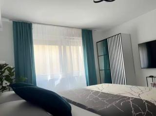 ViDa Apartment - Sinzheim - 9