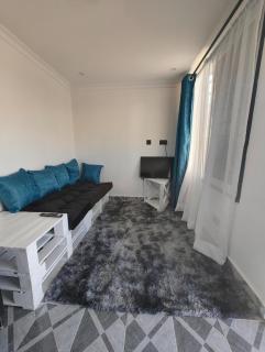 Grey Hound - Gatunga - 4
