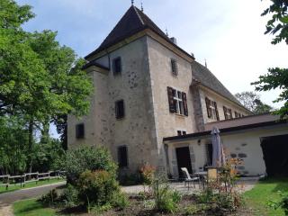 Grand gite Chateau - Saint-Paul-lès-Monestier - 0