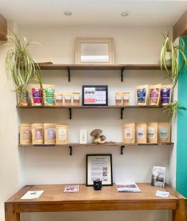 The Dragonfly Guesthouse - SELF CATERED - 3