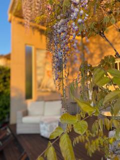 Guest Suite in Marino - Marino - 5