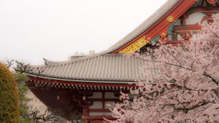 rot東上野3丁目301 - 1