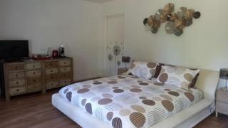 Rabbit House - La Chambre d'hôtes - Singleyrac - 7