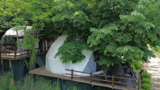 ME-GA Glamping - Sapanca - 8