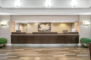La Quinta by Wyndham DFW Airport South / Irving - Irving - 0