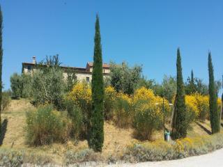 Apartment in Tuscany with Stunning Views - Asciano - 5