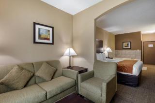 Comfort Suites The Colony - Plano West - The Colony - 5