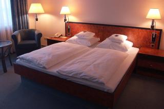 Hotel Arkadia - Friedrichsdorf - 2