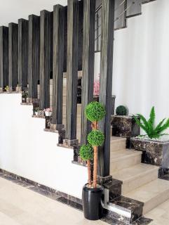 RHAMAIMS Home - Martil - 4