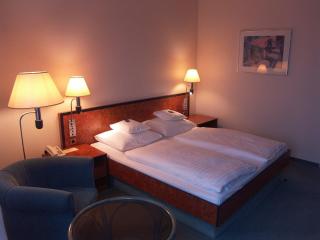 Hotel Arkadia - Friedrichsdorf - 1