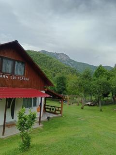 Cabana lui Foardă - Motru Sec - 5