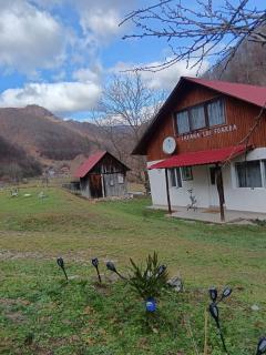 Cabana lui Foardă - Motru Sec - 7