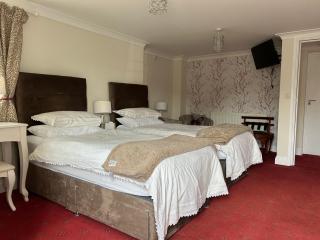 Flambards Hotel - Cardigan - 9