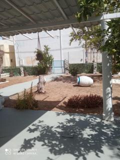 Welcome to Giouli's home ! - Elafonisos - 9