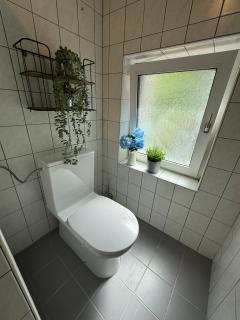 Fewo-Wilhering - Wilhering - 6