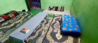 The north East Breeze - 1