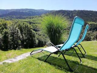 Nature and mountain studio - La Plagne Tarentaise - 8