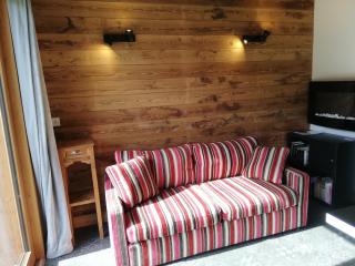 Nature and mountain studio - La Plagne Tarentaise - 5