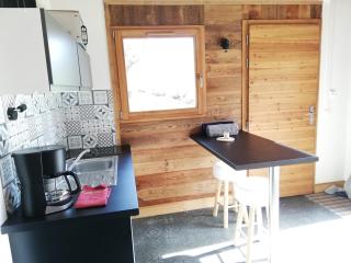 Nature and mountain studio - La Plagne Tarentaise - 1