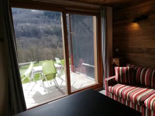 Nature and mountain studio - La Plagne Tarentaise - 3
