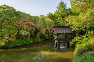 Sheraton Grand Hangzhou Wetland Park Resort - Hangzhou - 7