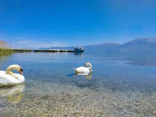 Pogradec Luxe Apartment - Pogradec - 8