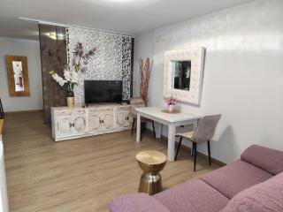 Apartamentos De la Haya & Suite con Jacuzzi, junto al Teatro Romano - Mérida - 4
