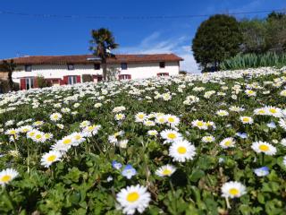 BnB Ferme Beauregard Les Pyrénées - Artigat - 9