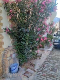 Chrysoulas Apartment - Yimnón - 5