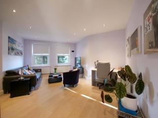 Elegant Finchley Apartment - Hendon - 6