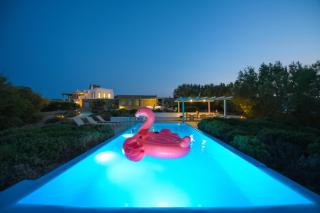 Ultramare Sea View Villa with Private Pool - Panormos Mykonos - 4