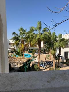 Delta sharm resort - Sharm-el-Sheikh - 3