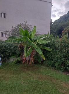 Apartmani Bozovic - Herceg Novi - 9
