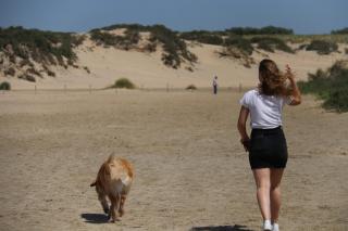 Zomerhuis Zomerbries - Noordwijk aan Zee - 8