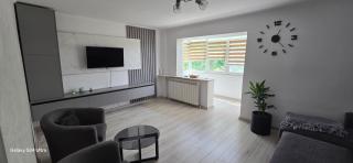 ILONA APARTAMENT 3 camere - Râmnicu Vâlcea - 3