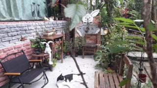 兔窩很Chill - Yilan - 8
