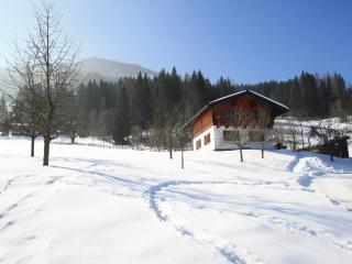 Charming Holiday Home in Hüttau with Barbecue - Hüttau - 4