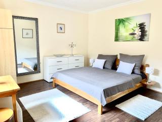 Szárszó Apartment with 3 rooms and PRIVATE BEACH, PRIVATE PARKING - Balatonszárszó - 7