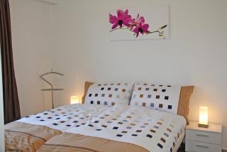 Condominio Vorame by HolAp SA - Ascona - 3