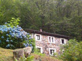 Rustico Marietta by HolAp SA - Brissago - 9
